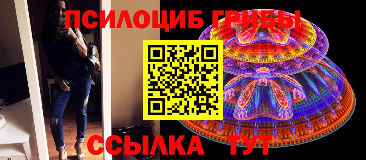 Клин  где можно купить   Галлюциногенные грибы Magic Shrooms  Вход с VPN  Галлюциногенные грибы MAGIC MUSHROOMS 